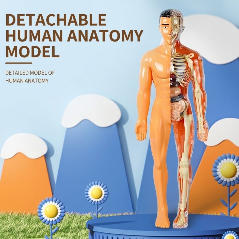 Human Body Puzzle - Set di Esperimenti Scientifici per Scuola