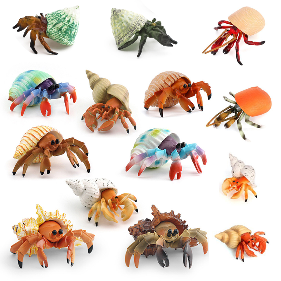Kids Educational Game - Figurina Realistica di Granchio Eremita, Modello