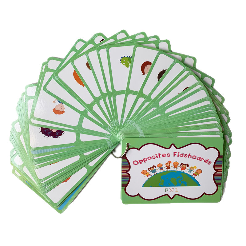 100 Gruppi di Carte Flash con  - Kids Educational Game recensione e prezzo