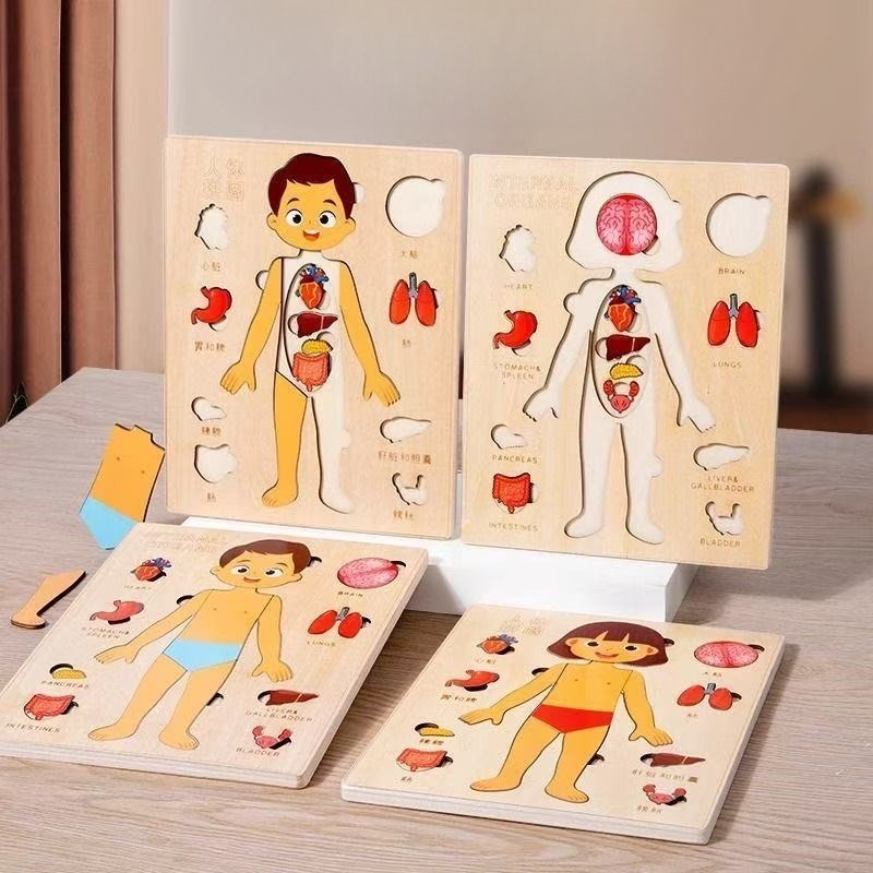Puzzle Montessori Tavola occup - Human Body Puzzle recensione e prezzo