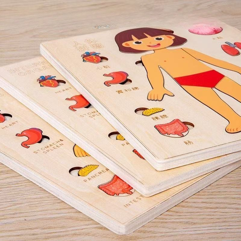 Puzzle Montessori Tavola occup - Human Body Puzzle recensione e prezzo