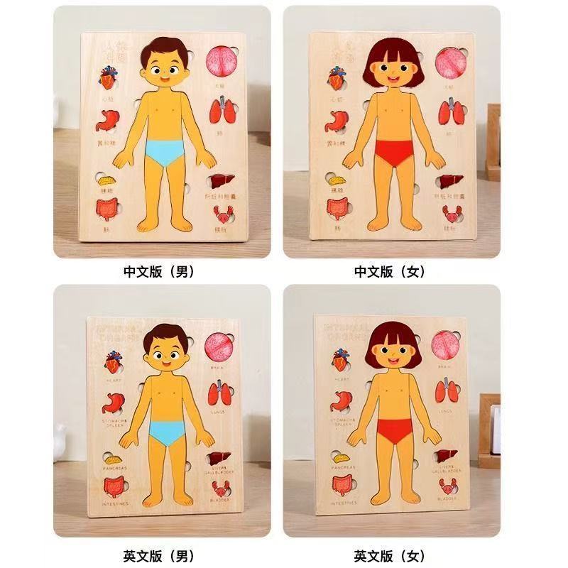 Puzzle Montessori Tavola occup - Human Body Puzzle recensione e prezzo