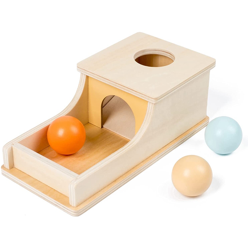 Montessori Legno Pitch Palla B - Human Body Puzzle recensione e prezzo