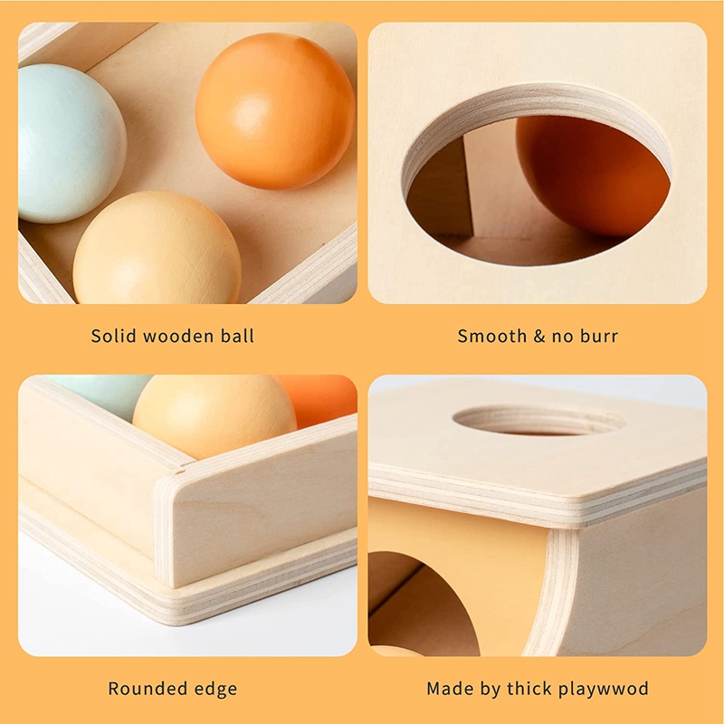 Montessori Legno Pitch Palla B - Human Body Puzzle recensione e prezzo