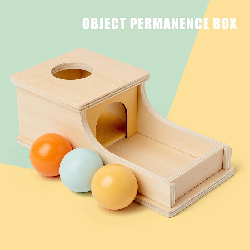 Montessori Legno Pitch Palla B - Human Body Puzzle recensione e prezzo
