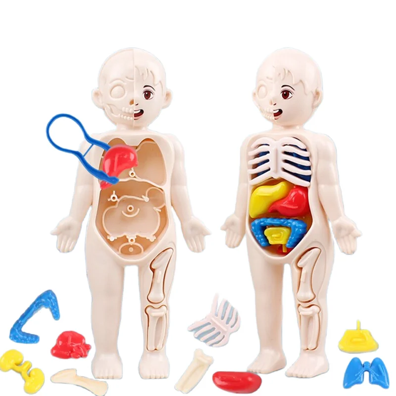 Puzzle 3D Montessori 14 Pezzi, - Human Body Puzzle recensione e prezzo