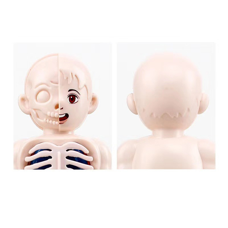 Puzzle 3D Montessori 14 Pezzi, - Human Body Puzzle recensione e prezzo