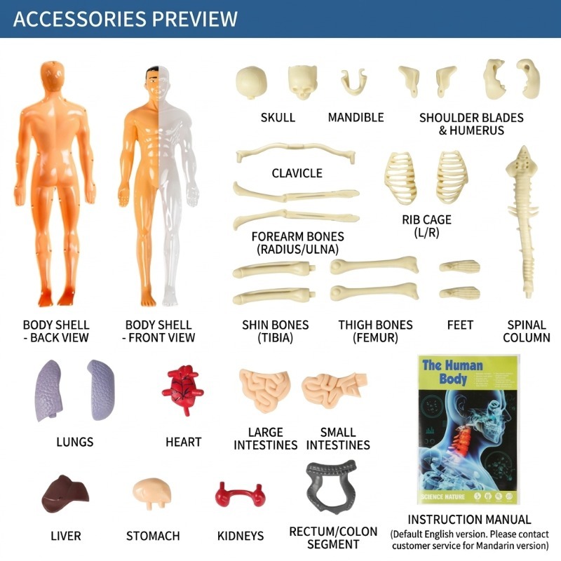 Set di Esperimenti Scientifici - Human Body Puzzle recensione e prezzo