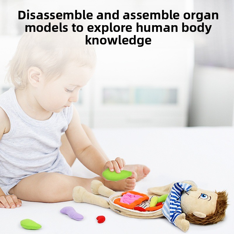 Puzzle cognitivo con organi um - Human Body Puzzle recensione e prezzo