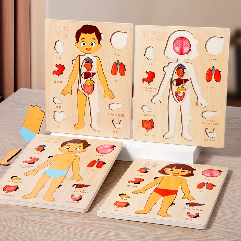 Puzzle per il corpo umano per  - Human Body Puzzle recensione e prezzo
