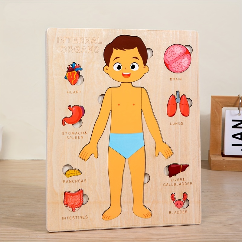 Puzzle per il corpo umano per  - Human Body Puzzle recensione e prezzo