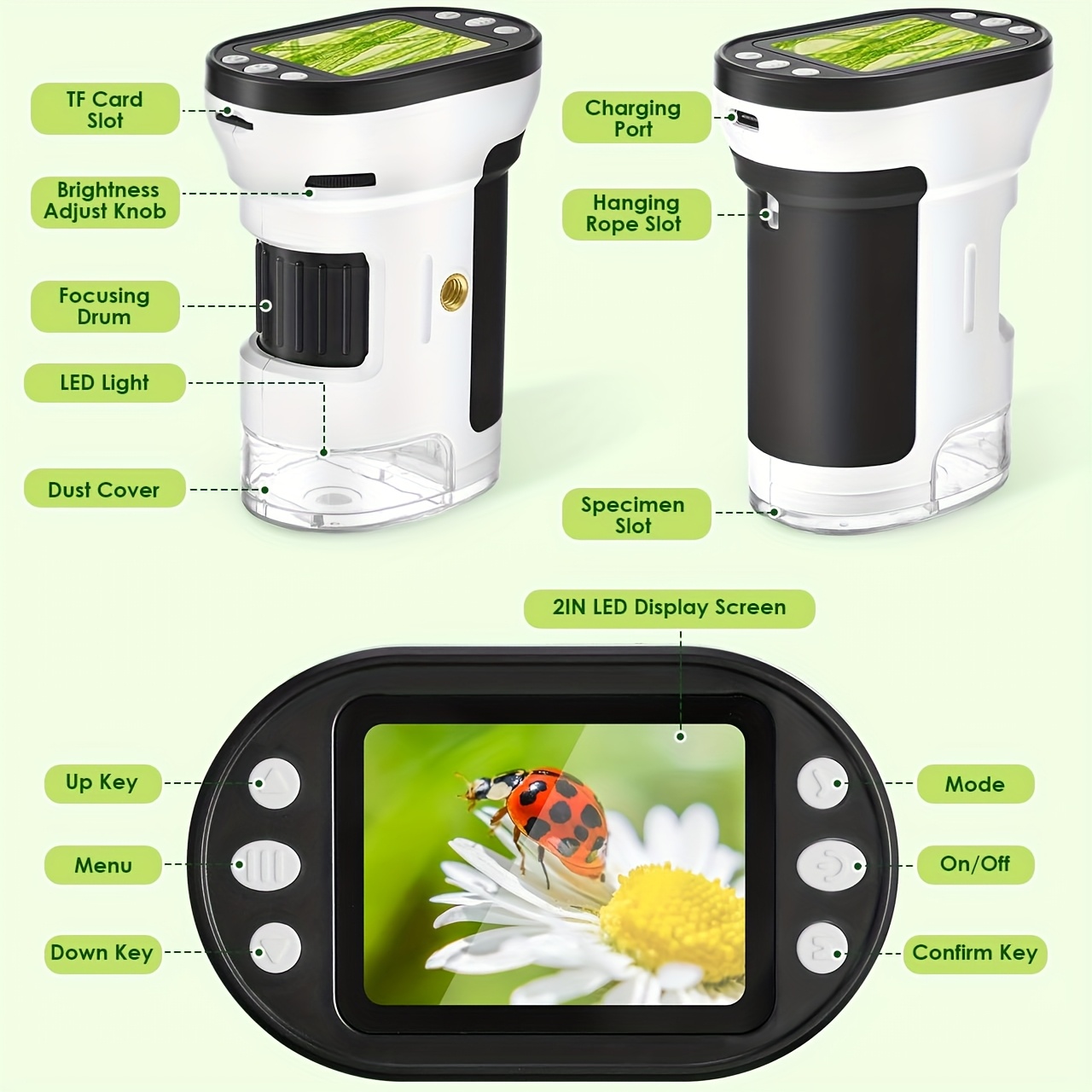 Kit Microscopio Biologico per  - Kids Education Yes recensione e prezzo
