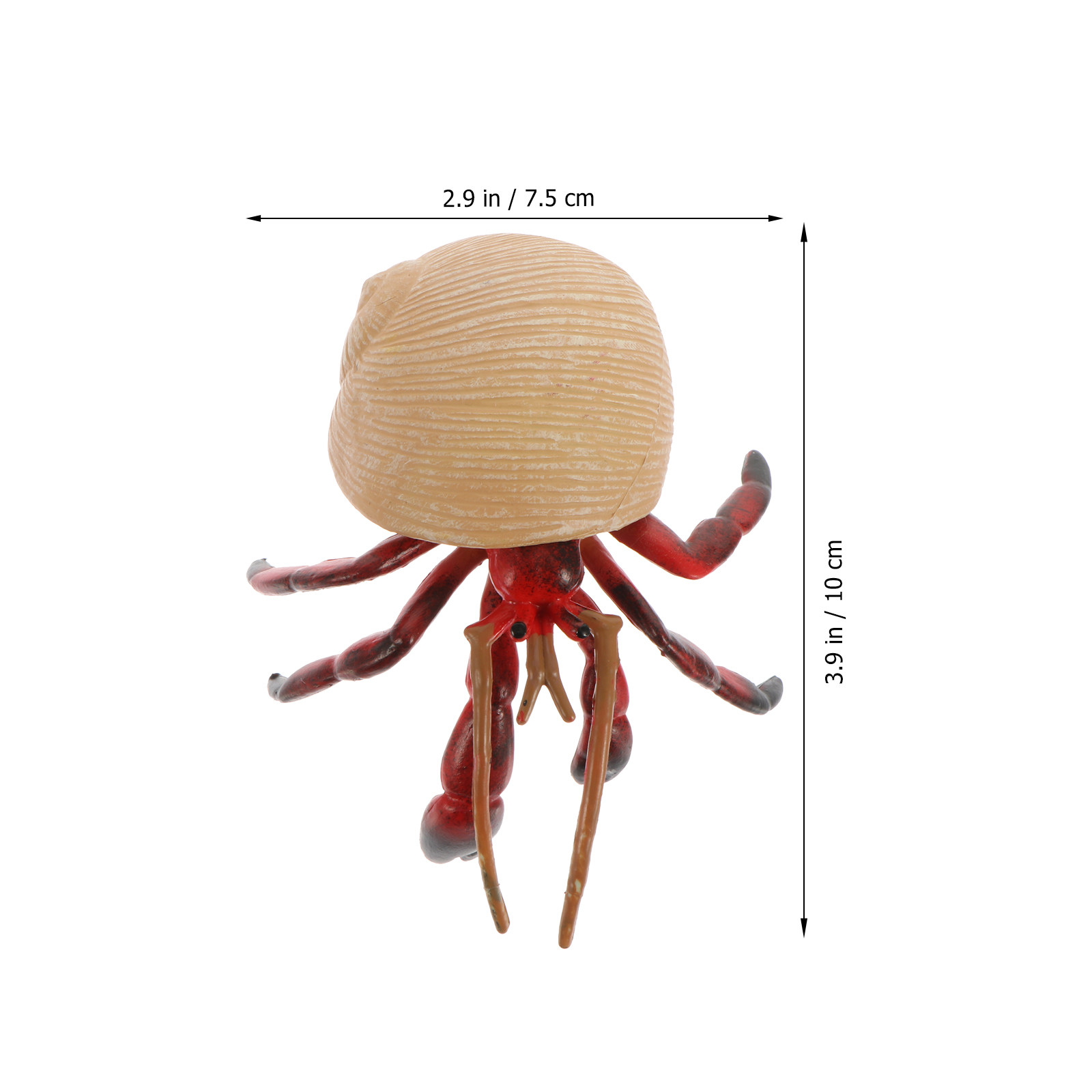 Decorazione Realistica di Gran - Kids Home Education recensione e prezzo