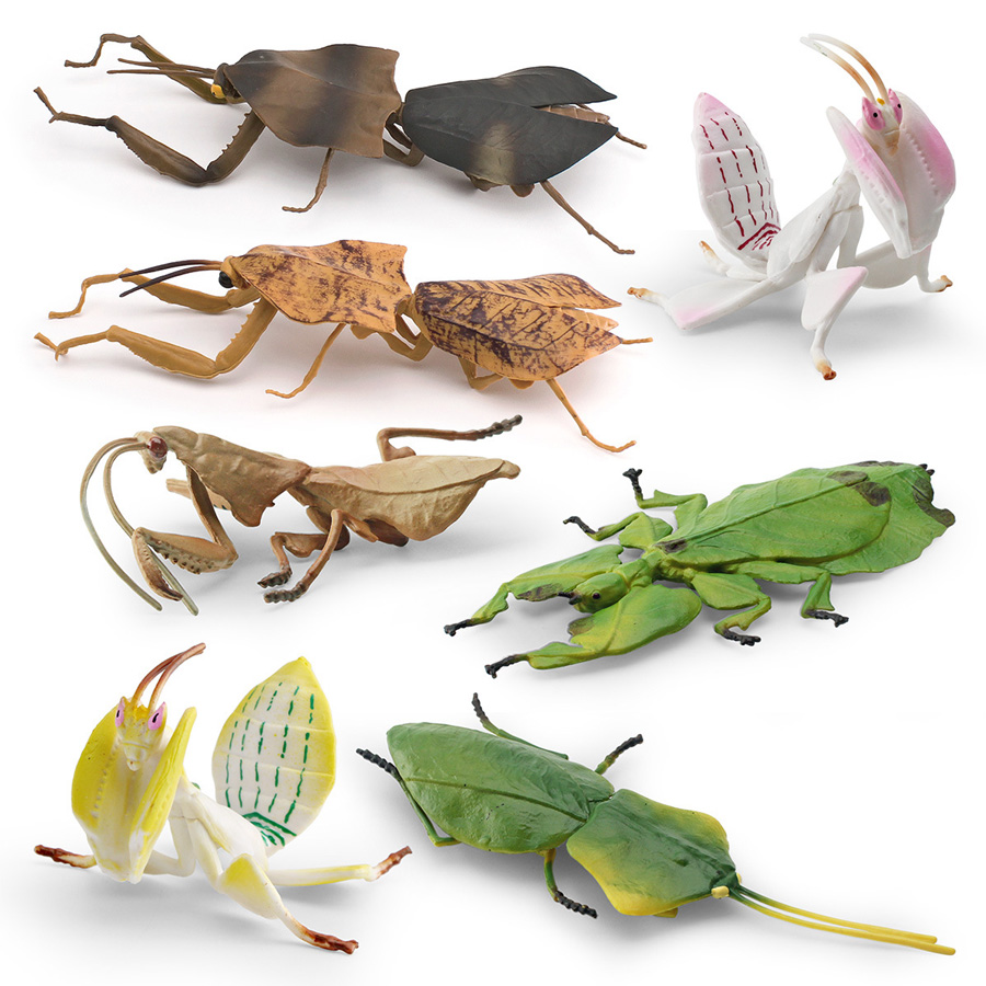 Modello Realistico di Mantis O - Kids Educational Game recensione e prezzo