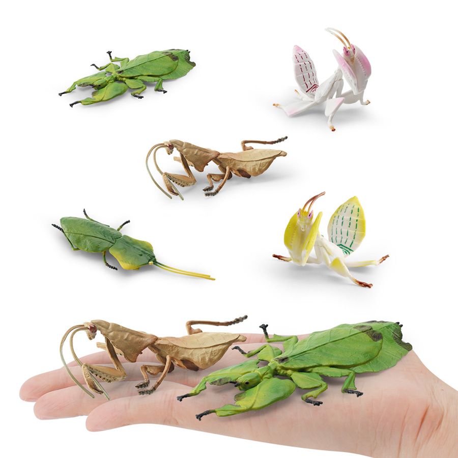 Modello Realistico di Mantis O - Kids Educational Game recensione e prezzo